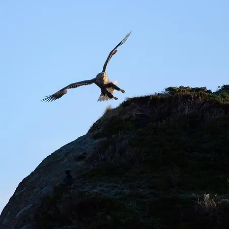 Дом отдыха Lofoten Hiking Base Haukland