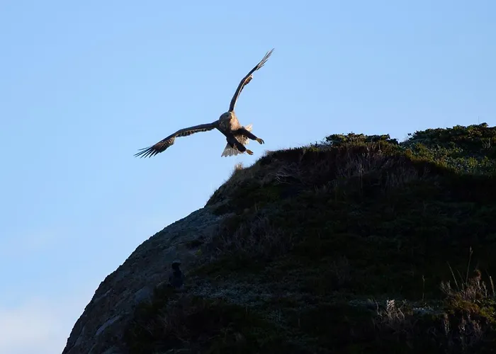 Дом отдыха Lofoten Hiking Base Haukland