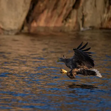 Lofoten Hiking Base * Haukland